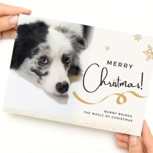“Winter Tails” Personalized Video Book Gift for Pet Lovers