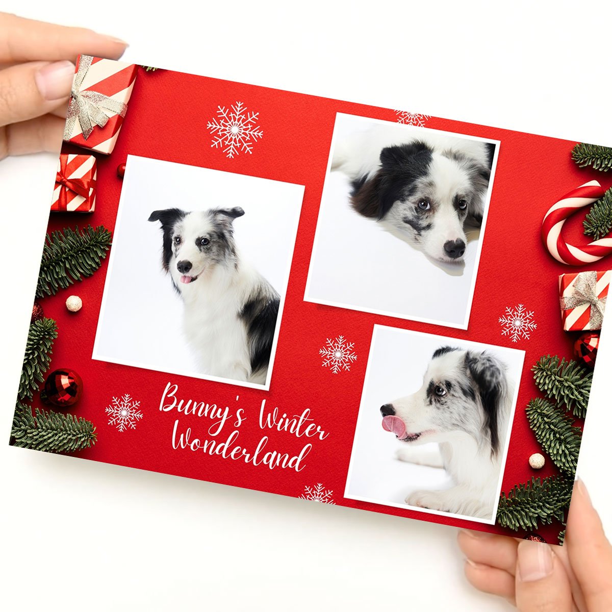 1-Hands-With-First-Cover