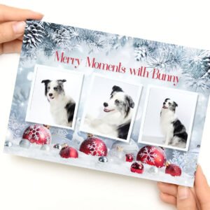 "Merry Moments" Pet Yearbook & Video Gift