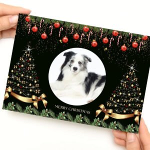 "Holiday Evergreen" Classic Video Gift for Dog Dads