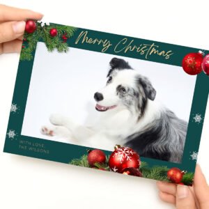 "Tunes of Joy" Puppy's First Christmas Video Gift