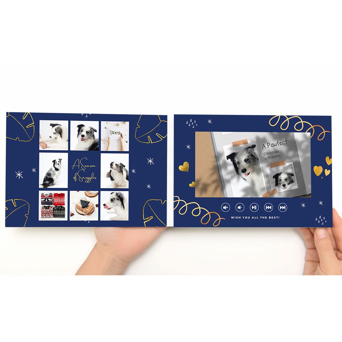 3-Insides-With-Hands