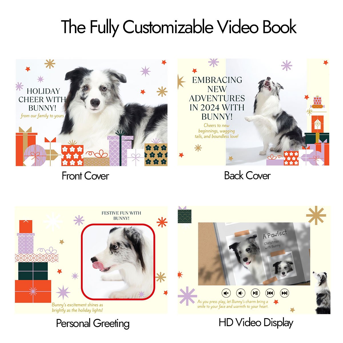 Christmas-Video-Book-Border-Collie3