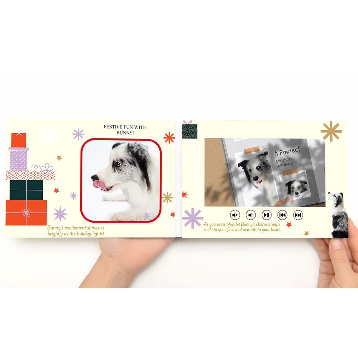 Christmas-Video-Book-Border-Collie4