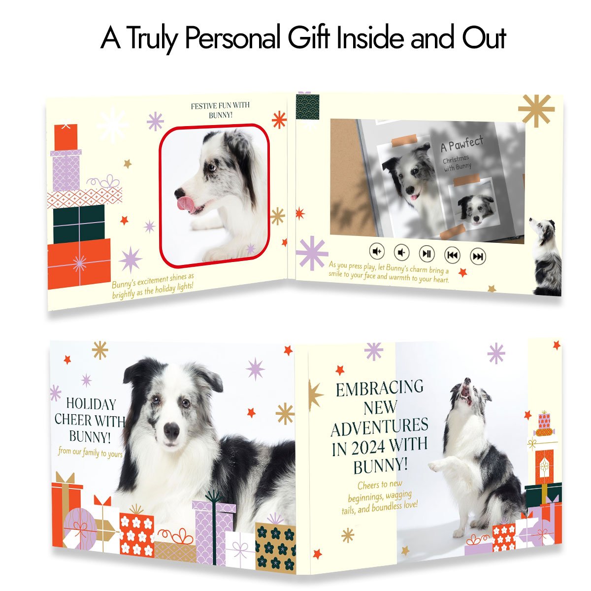 Christmas-Video-Book-Border-Collie5